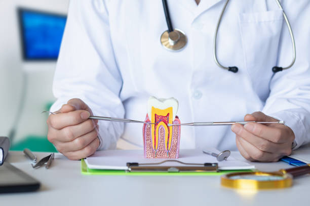 Best Dental Abscess Treatment in Plover, WI